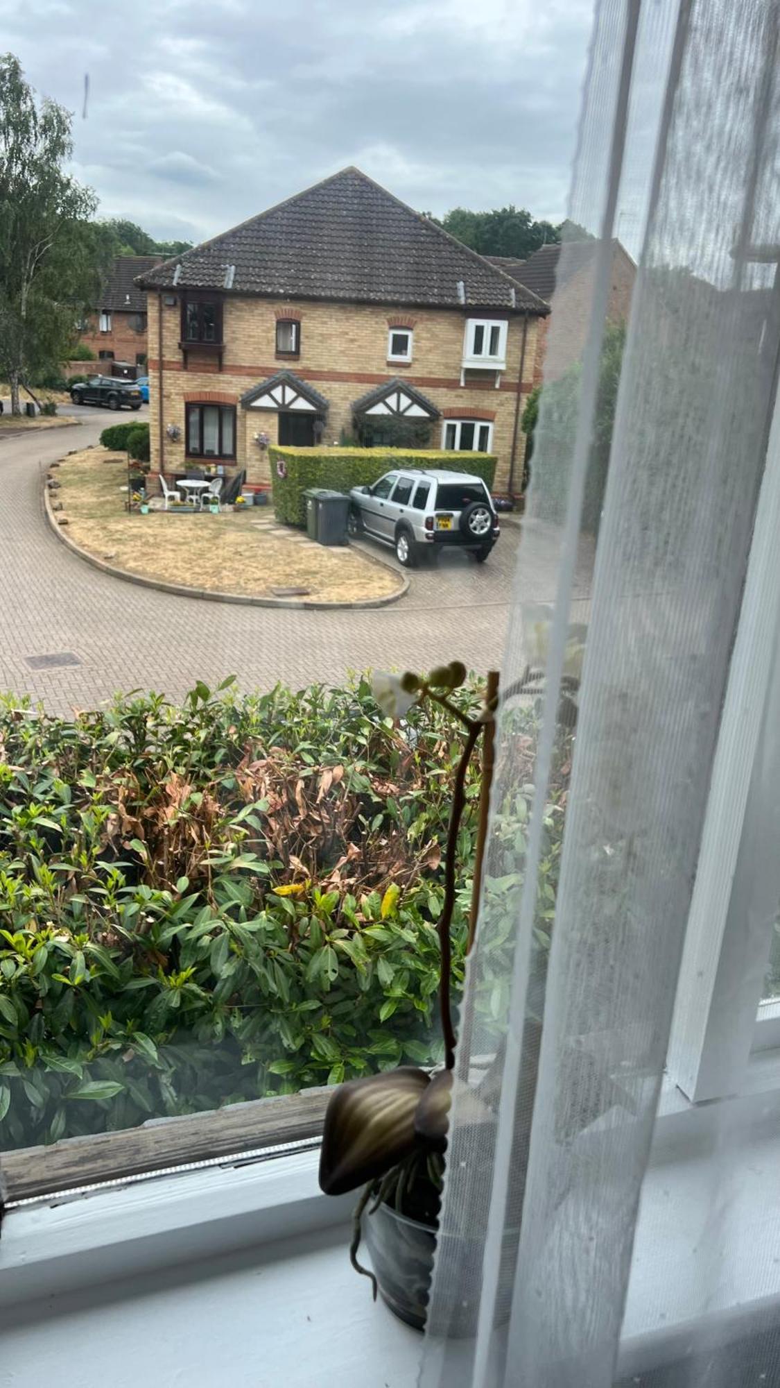 Beautiful Apartment In Guildford With Parking Send ภายนอก รูปภาพ